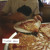 Artwork for Tigers Jaw - Plane Vs Tank Vs Submarine