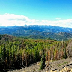 What A Wonderful World