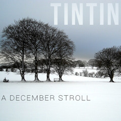 TinTin