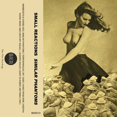 Small Reactions - "Saint In Robes"