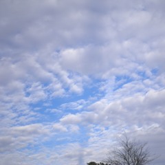 I Talk to the Wind (cover)