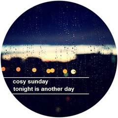 Tonight is Another Day (House Jazzy Music Mix)(freedownload)