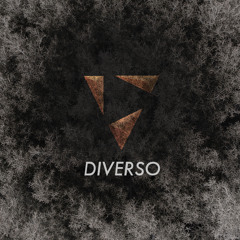 Sean Random aka Raus - Diverso (Original Mix) sc-edit