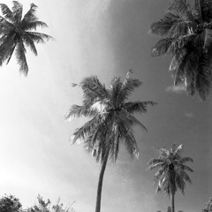 Nothing Wrong - (abhi//dijon Dpat-Atu Rework)