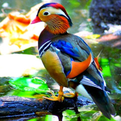 acid psytrance album preview