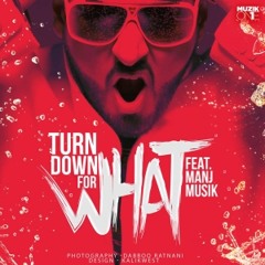 Turn Down For What - Lil John Feat. Manj Musik (Hor Glassy Remix)