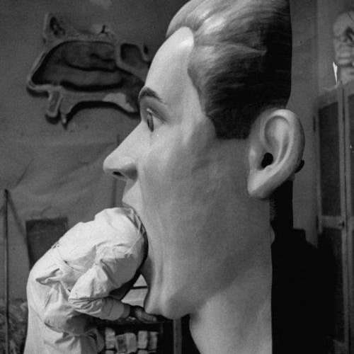 hndsm. // LM @ James Holden