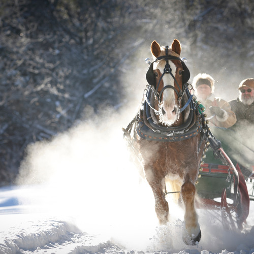 Walking in a Winter Wonderland