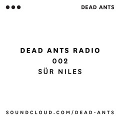 002 - Sür Niles (of Pro Era)