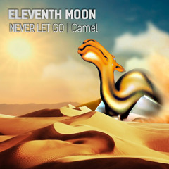 Never Let Go - Camel (cover by eleventh moon)