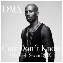 DMX - Catz Don't Know