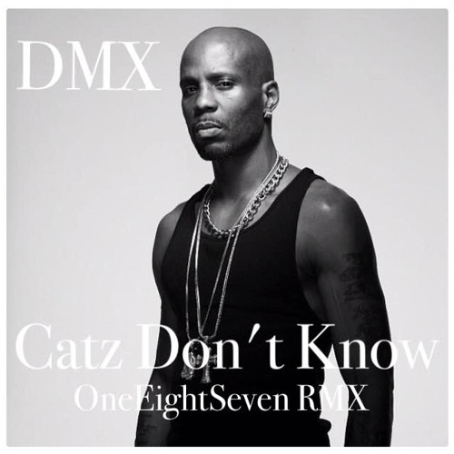 DMX - Catz Don't Know