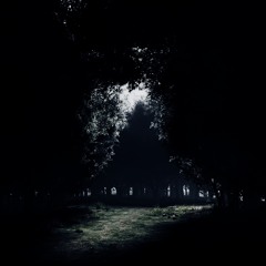 The Path