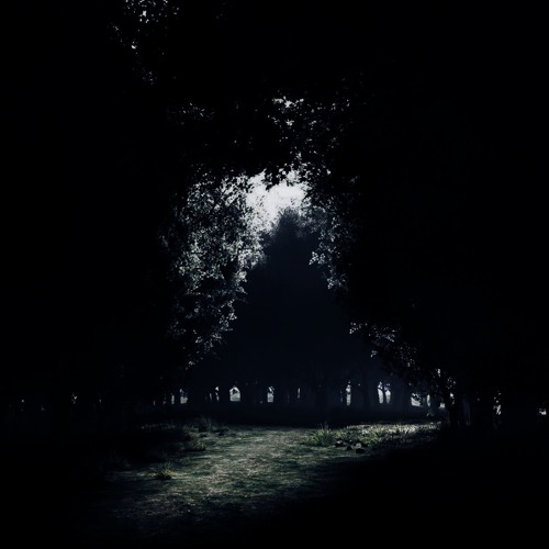 The Path