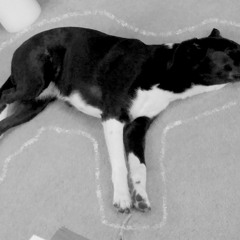 "Dead Dogs" (Reprise) Bodega Clique Feat. Freaky Deke & Silva [Produced by Joe White & Freaky Deke]