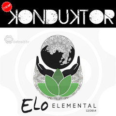 Set @ Elo Elemental Festival 2014 | detroitbr stage - Dec 2014