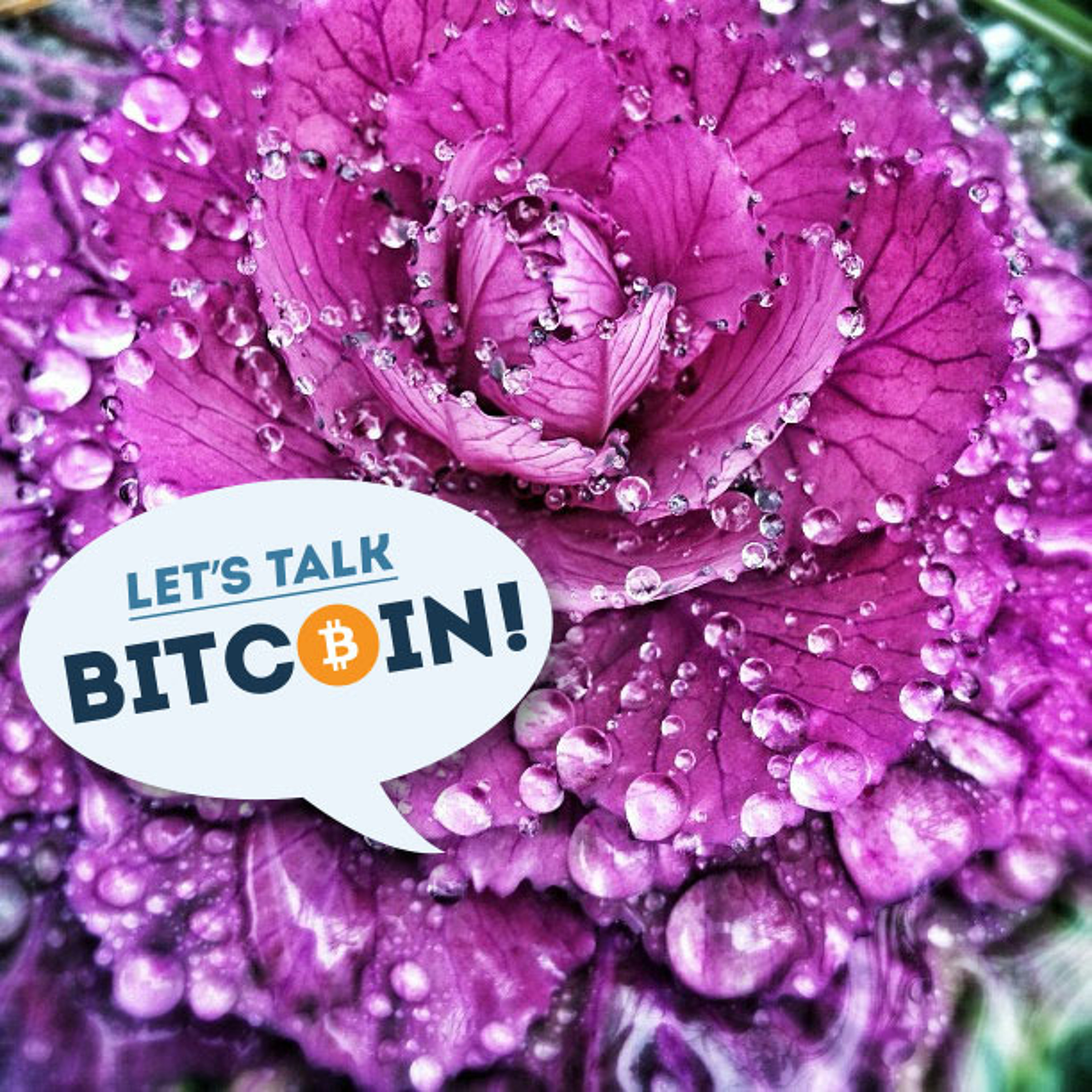 LTB E169 - Set Reconciliation and the Block with Gavin Andresen