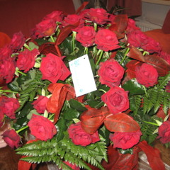 01 Si Mayan No Yega Nunca