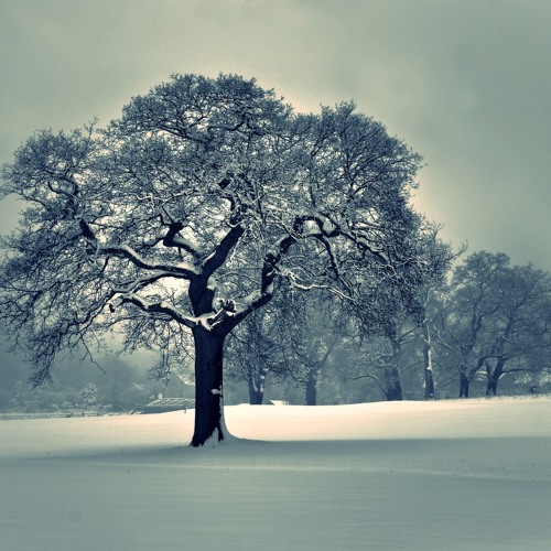 Daniel Docherty - Garden In The Snow (Avixion Remix)