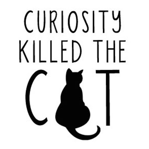 Hang on in there baby | Curiosity Killed The Cat / Rock the boat | Aaliyah (b_o_y MASHUP) 13-12-14