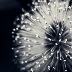 What Are You Doing the Rest of Your Life (Michel Legrand)