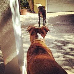 litle red house blues cover by katmanka