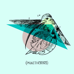 .crashing.