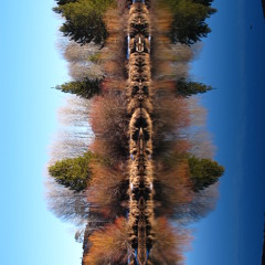 Wanting Memories tribute