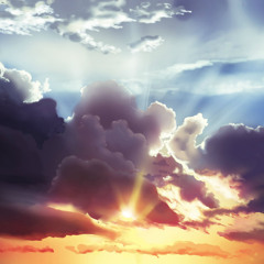 Prince Palmer Wanna Be