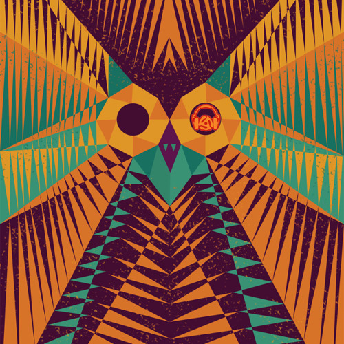 Digital Owl
