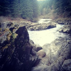 Skyfall (cover)Accompanied by Alex Ferraro