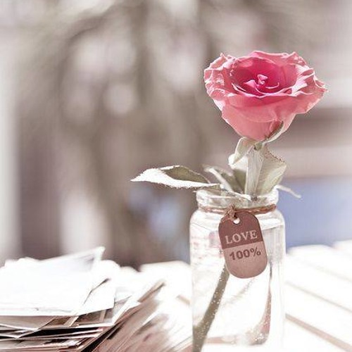 سورَةُ الْفَتْح .. سَعْد الْغامدى
