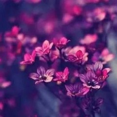 صَبَاحُكِ سُكَرْ (مؤثرات).. أنس حجازى ... ლ