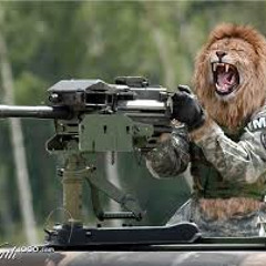 7) Lions War Beat