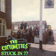 THE COTTONETTES - STUCK IN 77