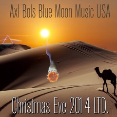 Axl Bols Live Eve 2015 LTD.. Apollo Opera Orbit Version. .USA Fender David Gilmour relic Strat Sound