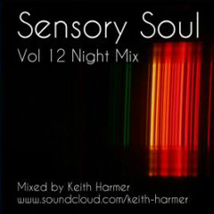 sensory soul vol 12 night mix