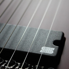 Riff I - Seymour Duncan Retribution 7