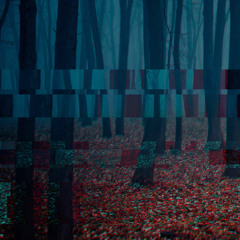 b̗̝̥͔͉̩ͅo̙̻̬̖̝o̖t̡̖̗͚̝s͇̲̟͝i̶͎̜̪̦͕e̜̭͚͎͙s̱͕͎̫̯̱ #6l14 Wald+F4