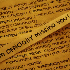 Officially  Missing You cover