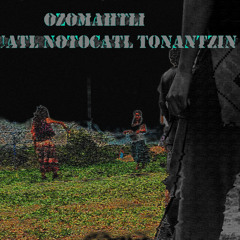 2. Shaman- Ozomahtli (NNT 2014)