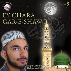 Ya Nabi Salaam Alaika (صلی اللہ علیہ وسلم)