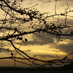 What Are You Doing New Year's Eve Ukulele Cover