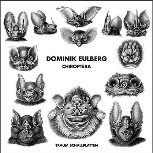 Große Hufeisennase