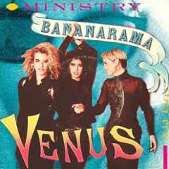 Ministry vs. Bananarama - Everyday Is Halloween On Venus