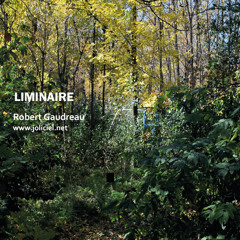 Album Liminaire