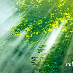 relax-daily N 045