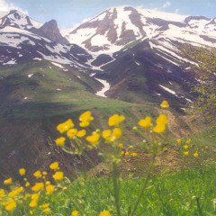 Yılmaz Çelik & Erdal Erzincan - Dem-i Muhabbet