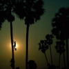 Mix of the Week #46: Gordy Zola - Tomorrows Sun DJ mix artwork - Electronic music tracklist cover image