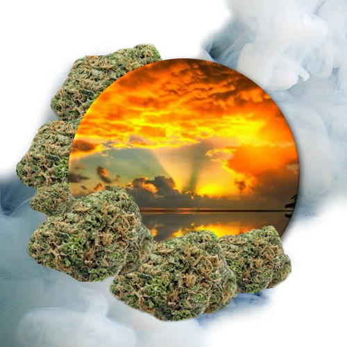 Wake&Bake